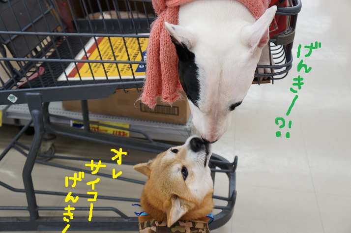 DSC07984eeee.jpg