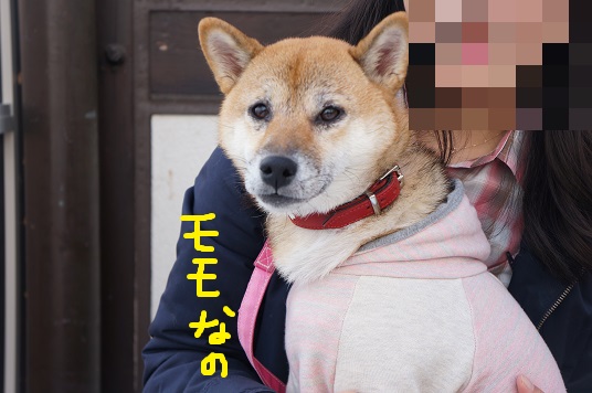 DSC08181aaaaa.jpg