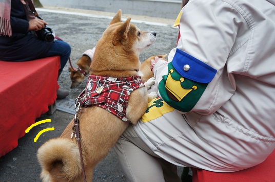 DSC08328aaaaa.jpg