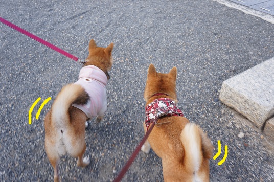 DSC08426aaaaa.jpg