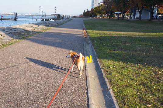 DSC08464aaaaa.jpg
