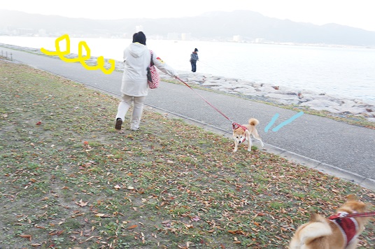 DSC08503aaaaa.jpg