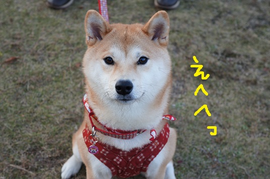 DSC08526aaaaa.jpg