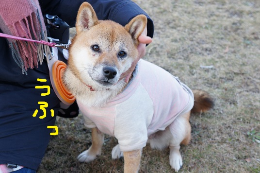 DSC08528aaaaa.jpg