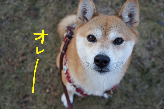 DSC08539aaaaa.jpg