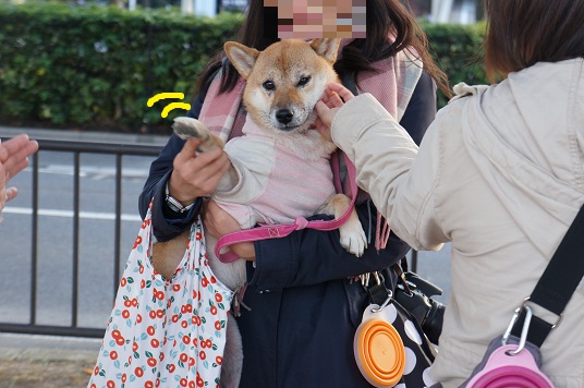 DSC08554aaaaa.jpg