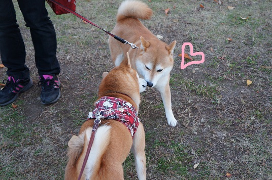DSC08623aaaaa.jpg