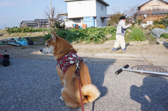 DSC08721aaaaa.jpg