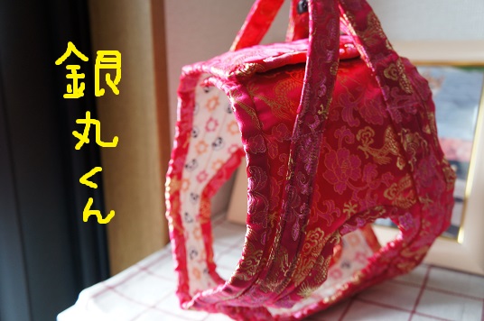 DSC08735aaaaaa.jpg