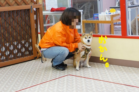 DSC08829aaaaa.jpg