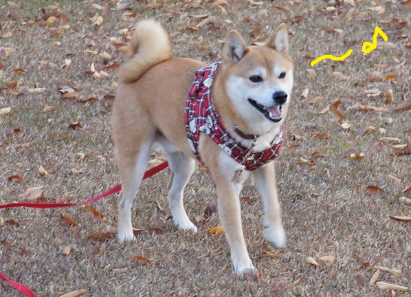 DSC08961aaaaa.jpg