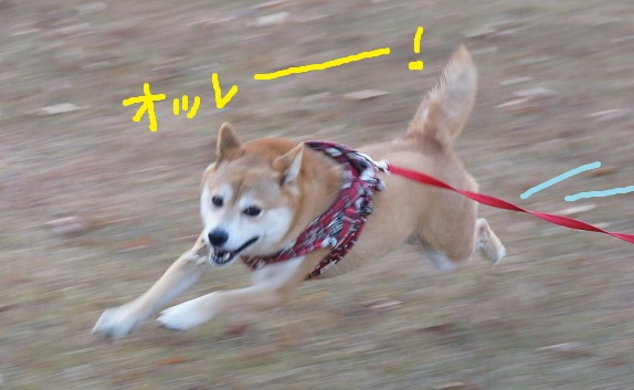 DSC08963aaaaa.jpg