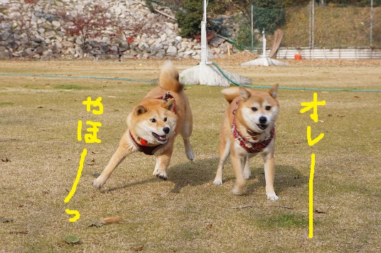 DSC09109aaaaa.jpg