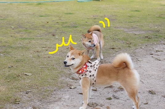 DSC09127aaaaa.jpg