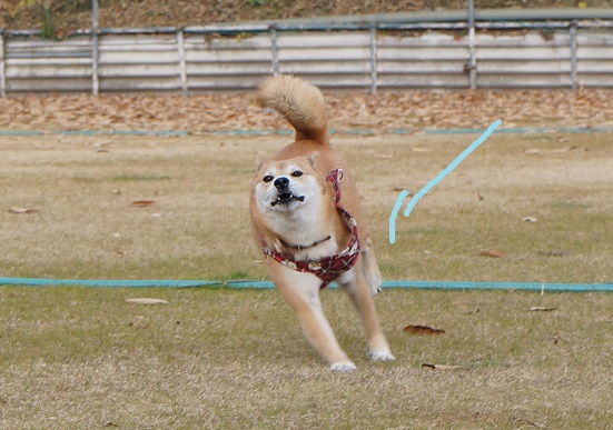 DSC09139aaaaa.jpg