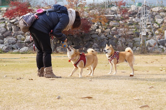DSC09501aaaaa.jpg