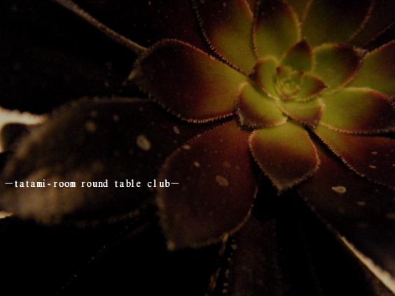 2012_0316_160725.jpg