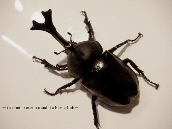 2012_0321_081724.jpg