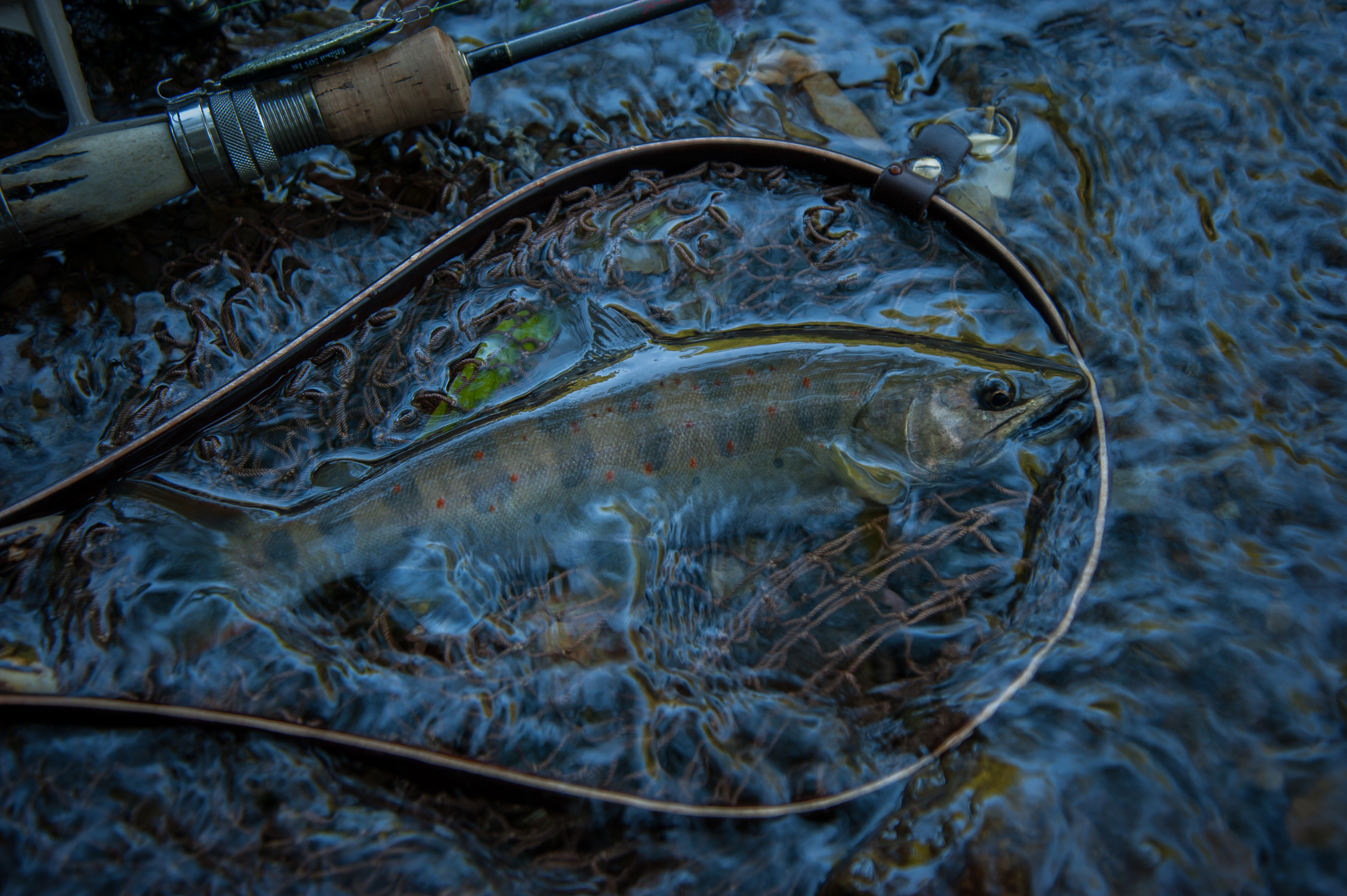 20140914-040w.jpg