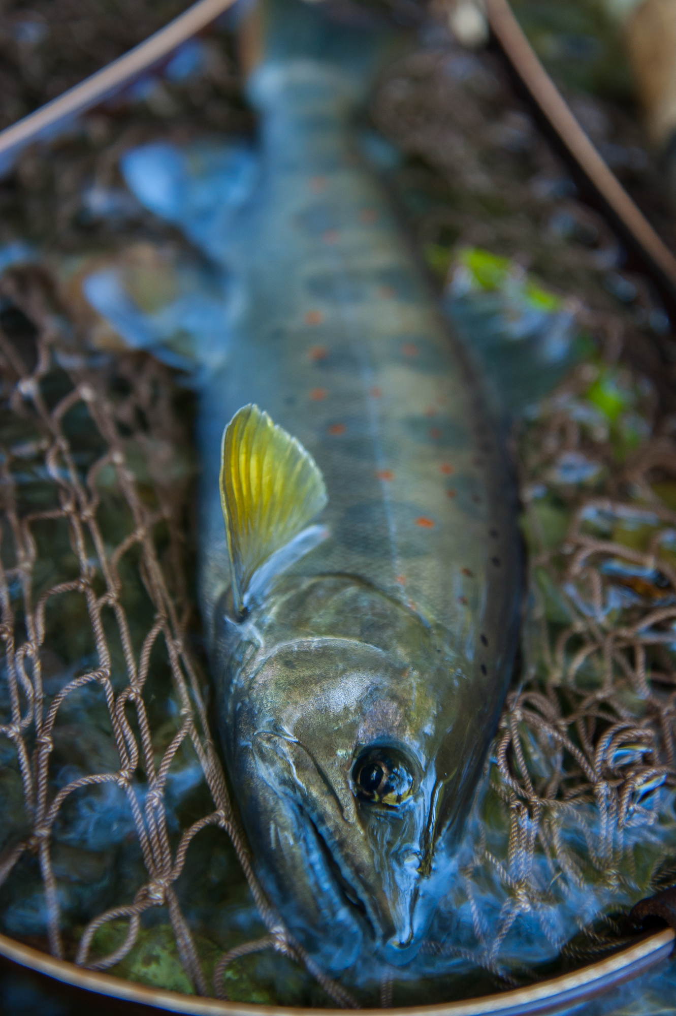 20140914-045.jpg