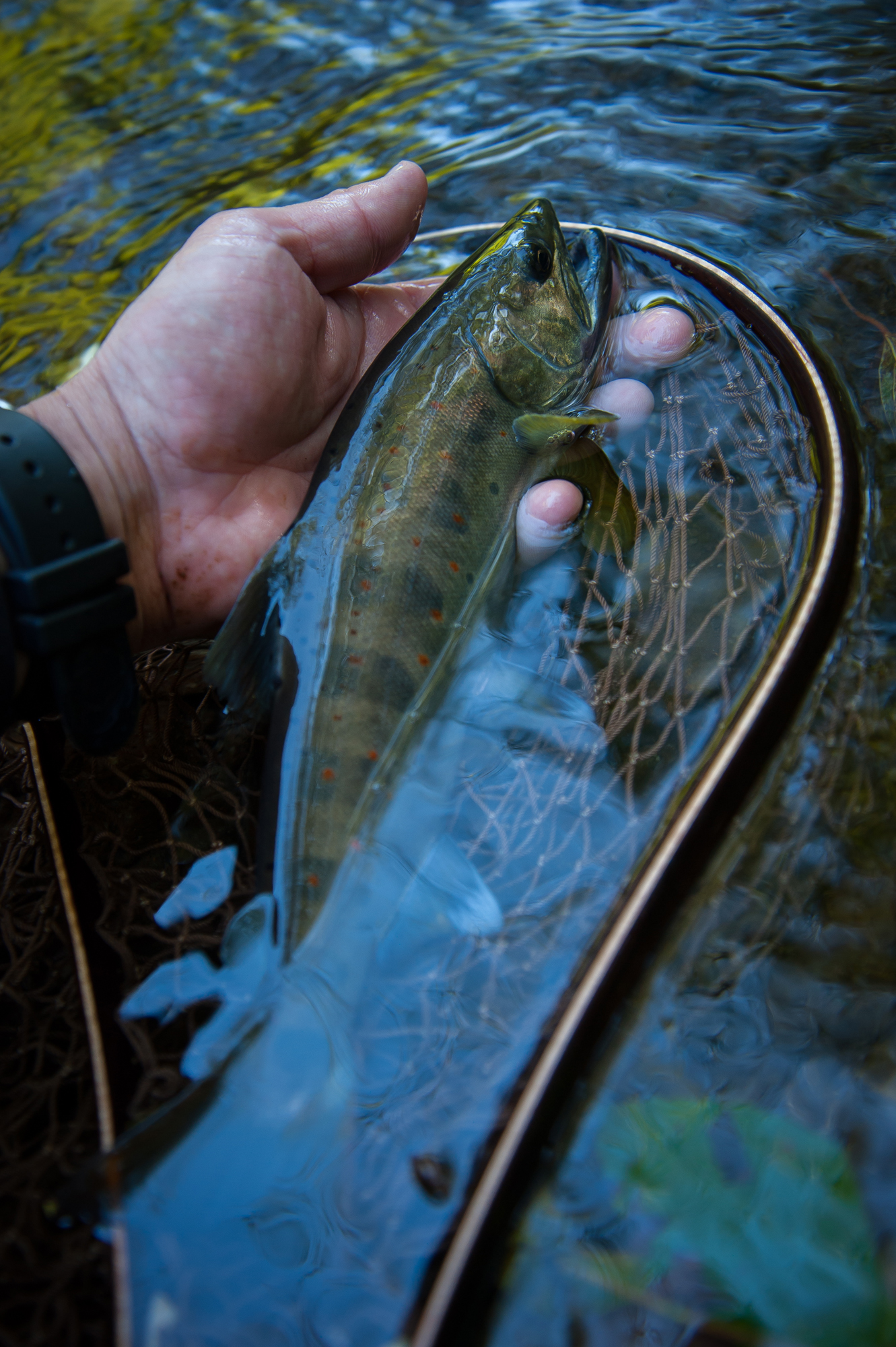 20140914-066.jpg