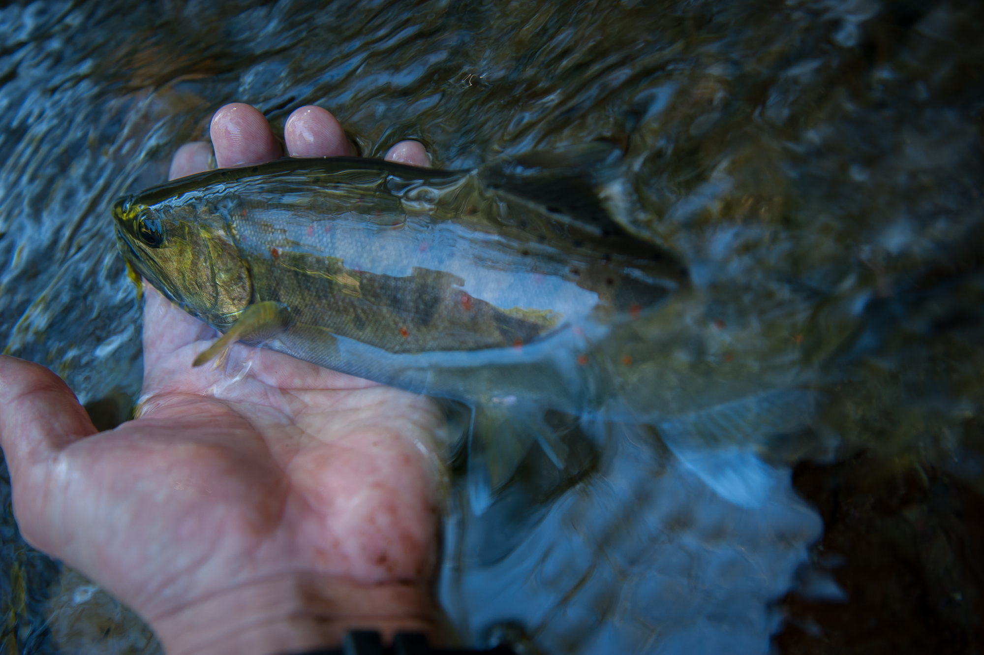 20140914-069w.jpg