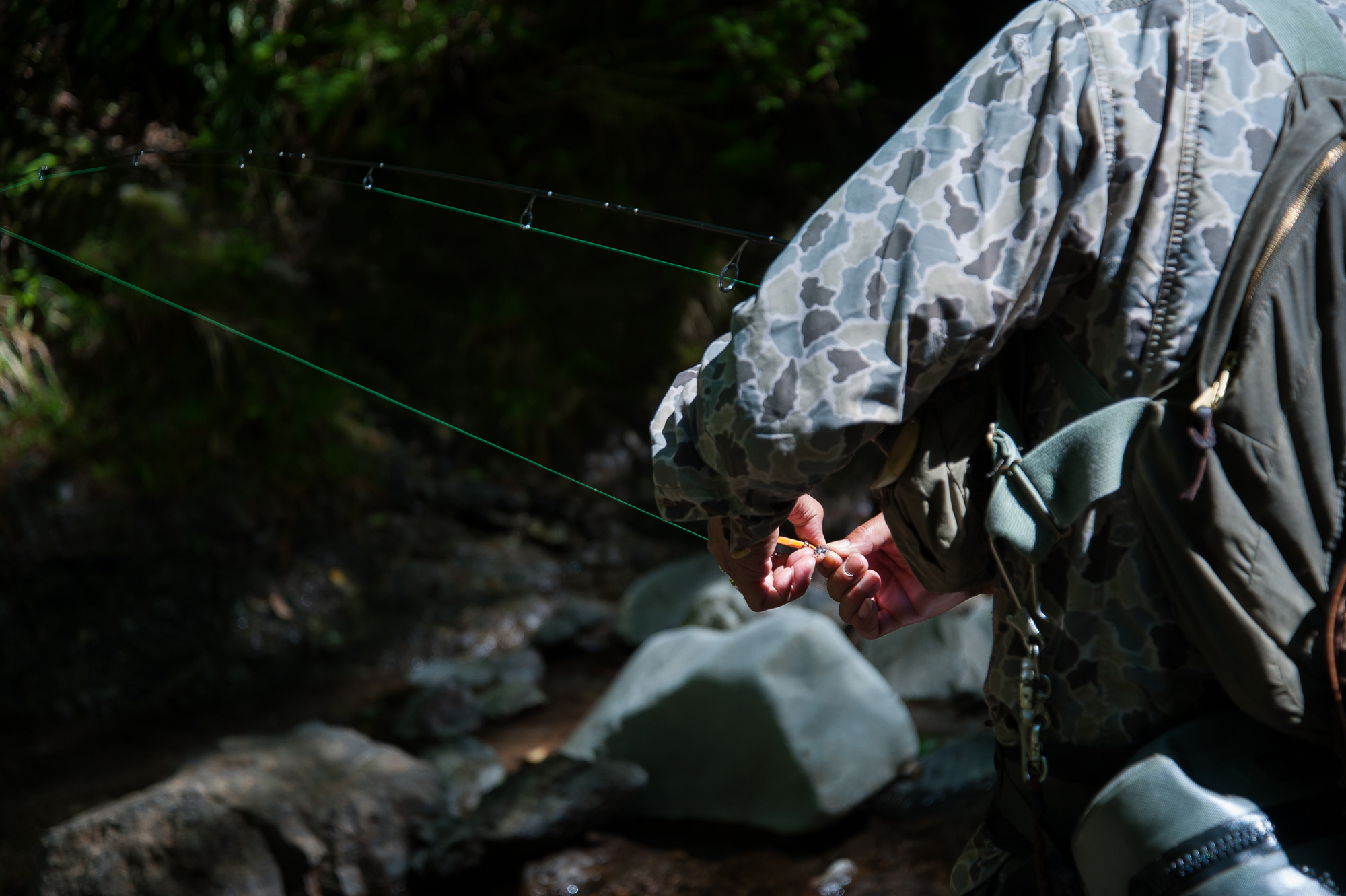 20140914-096w.jpg