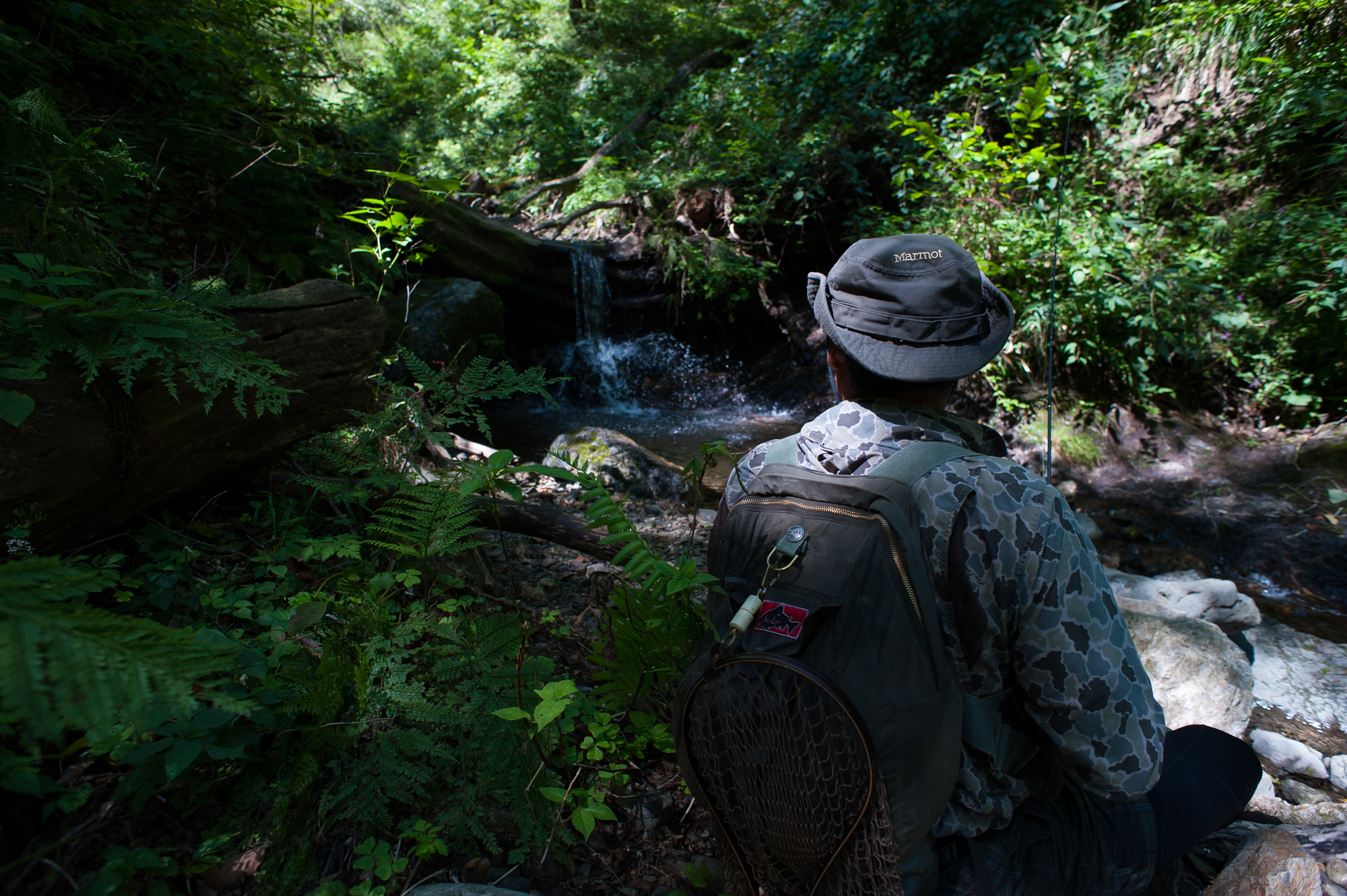 20140914-102w.jpg