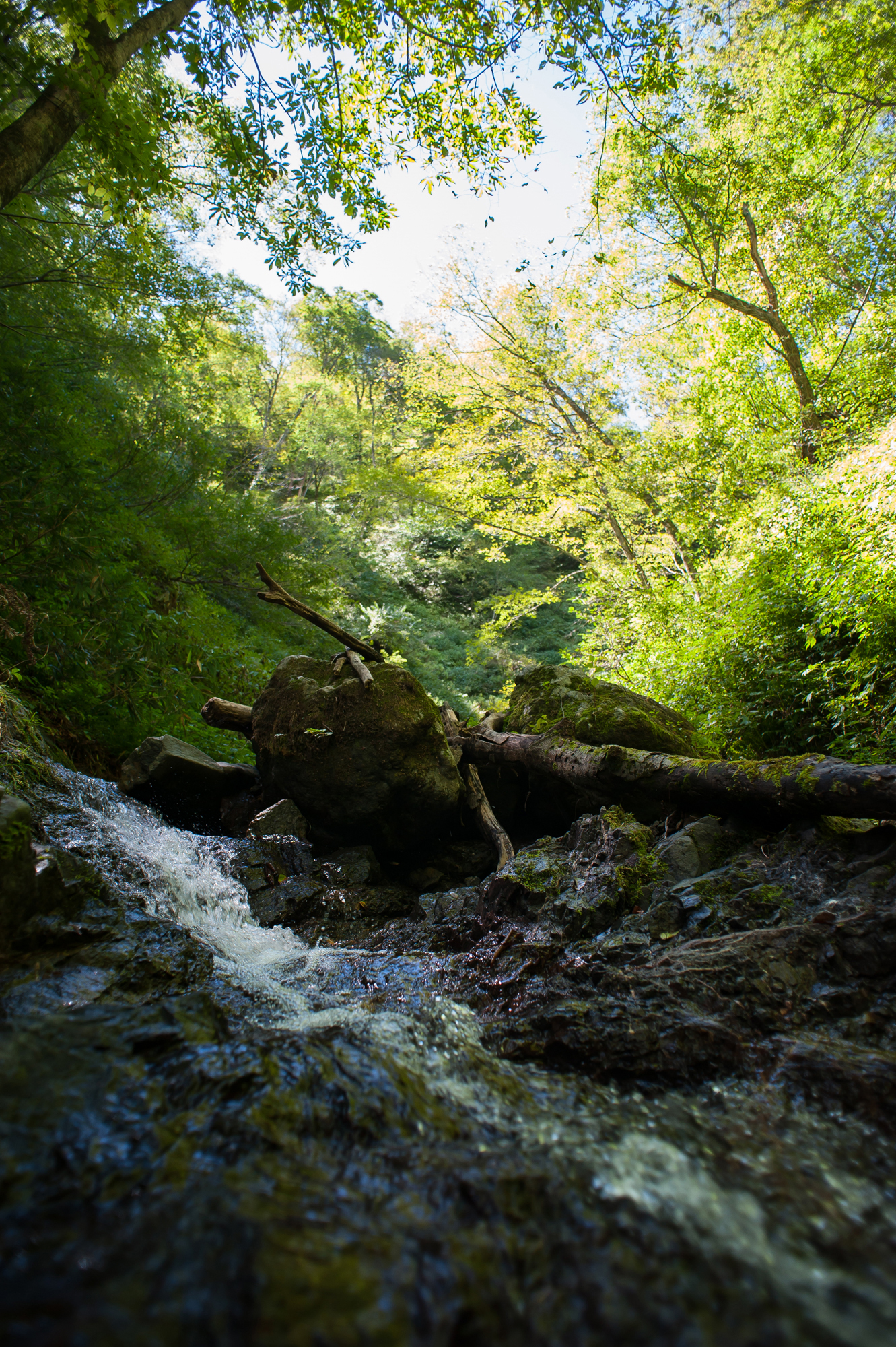 20140914-126w.jpg