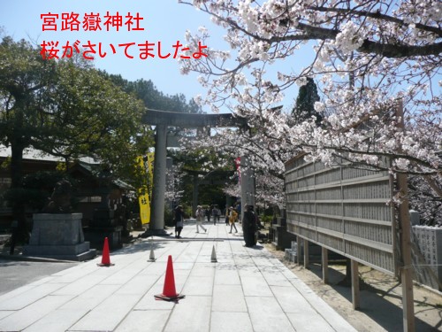 P1020372.jpg