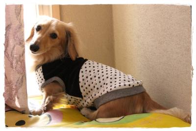 H_IMG_7207_convert_20120414180717.jpg