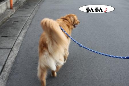 ★散歩1