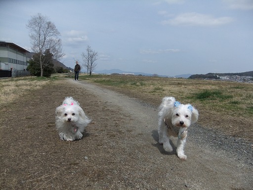 20120320 018