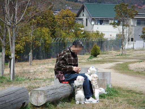 20120320 011