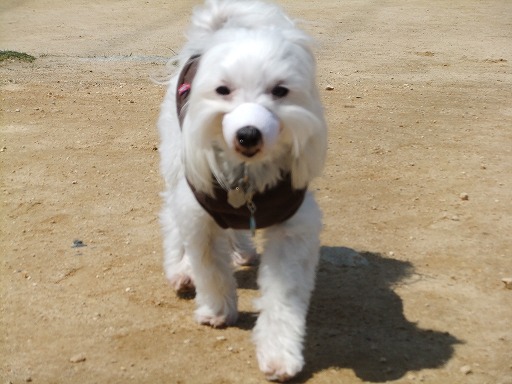 20120408 041