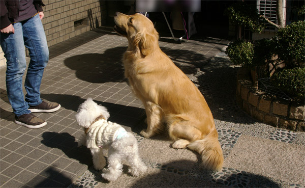 ビビアン