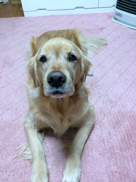 親戚さん