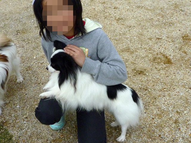 姉妹