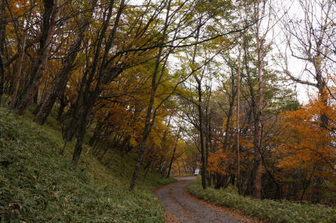 DSC07564.jpg
