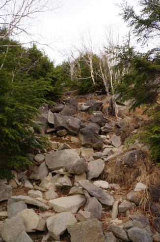 DSC07577.jpg