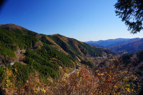 DSC07672.jpg