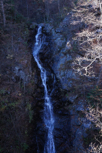 DSC07689.jpg