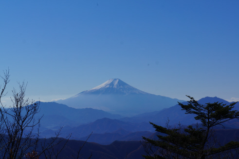 DSC07708.jpg