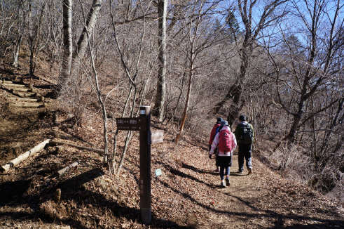 DSC07731.jpg