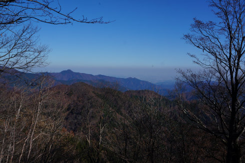 DSC07738.jpg
