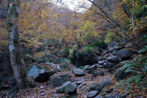 DSC07767.jpg