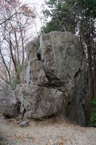 DSC07787.jpg