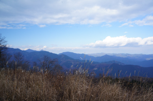 DSC07827.jpg