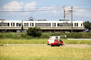 rie3915.jpg