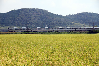 rie3921.jpg